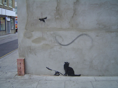 banksy_cat