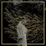 forest_swords